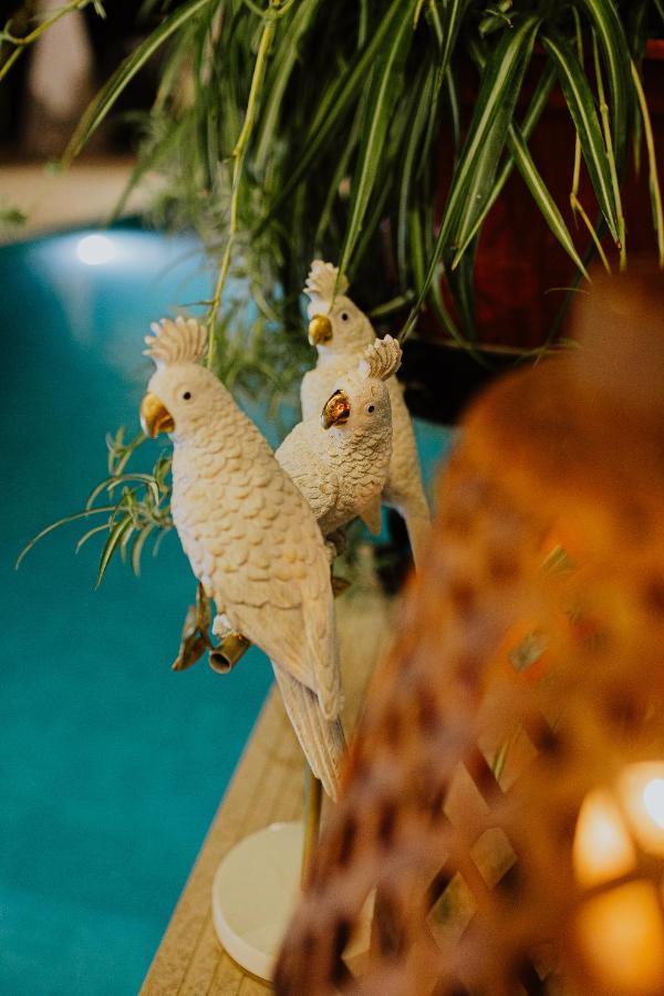 Castejon de Monegros El Jardin De Galaヴィラ エクステリア 写真